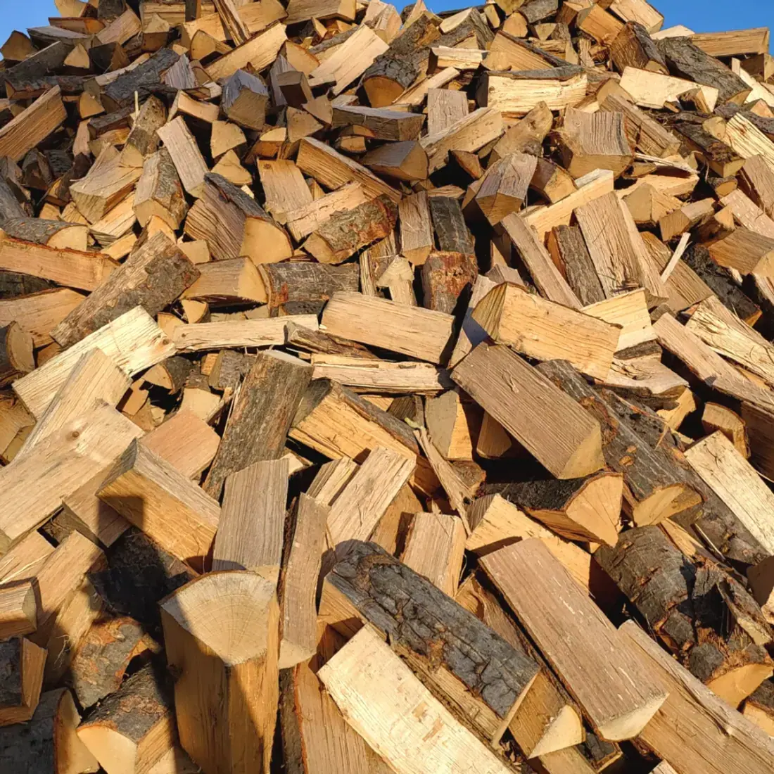 Großer Haufen gespaltener Buchenscheite in der Sonne